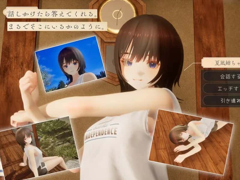 视觉数据2